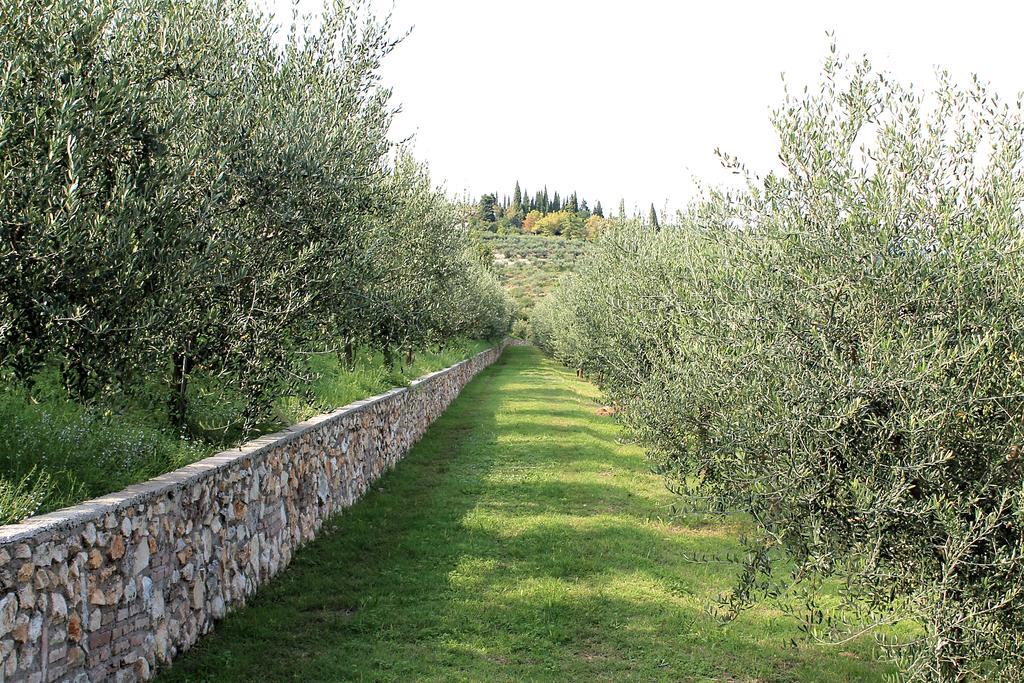 Ca' Dei Coci B&B San Martino Buon Albergo Buitenkant foto