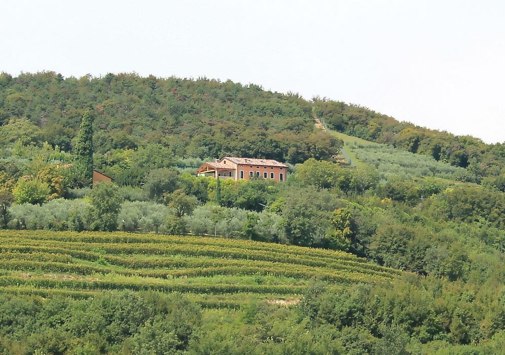 Ca' Dei Coci B&B San Martino Buon Albergo Buitenkant foto