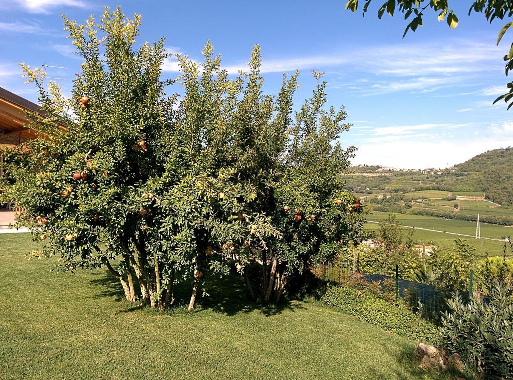 Ca' Dei Coci B&B San Martino Buon Albergo Buitenkant foto